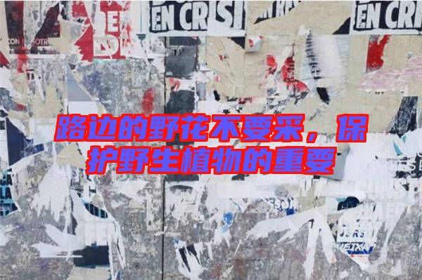 路邊的野花不要采，保護野生植物的重要