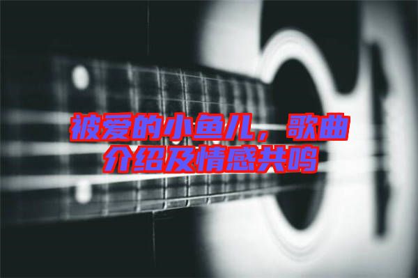 被愛(ài)的小魚(yú)兒,歌曲介紹及情感共鳴