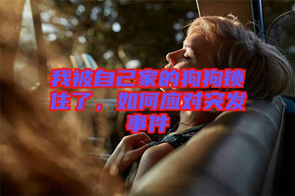 我被自己家的狗狗鎖住了，如何應對突發事件