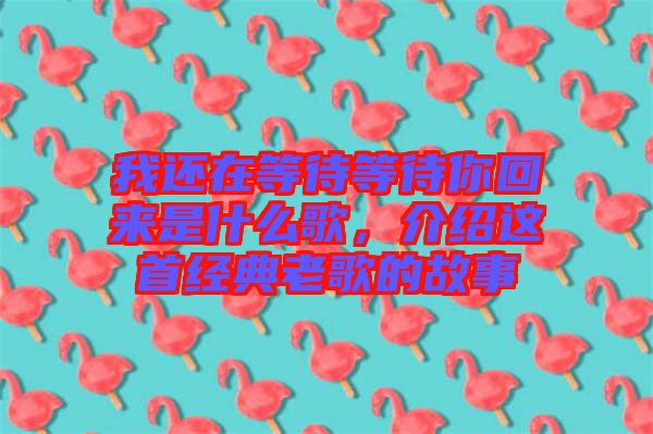 我還在等待等待你回來是什么歌,介紹這首經(jīng)典老歌的故事