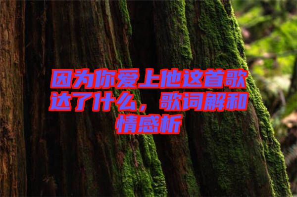 因為你愛上他這首歌達了什么,歌詞解和情感析