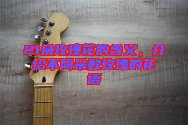 21朵玫瑰花的含義，介紹不同朵數玫瑰的花語