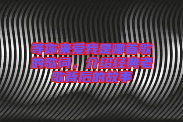 等你來愛我是哪首歌的歌詞,介紹經典老歌背后的故事