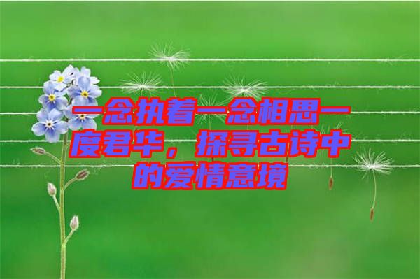 一念執著一念相思一度君華，探尋古詩中的愛情意境