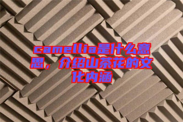 camellia是什么意思,介紹山茶花的文化內涵