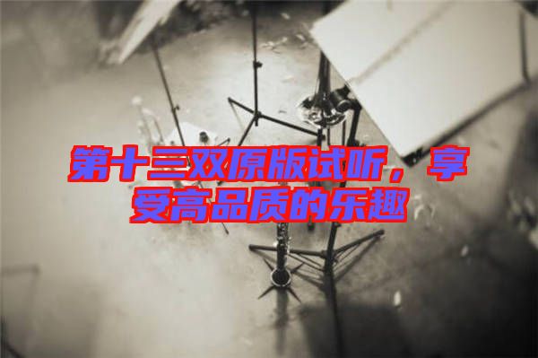 第十三雙原版試聽,享受高品質的樂趣