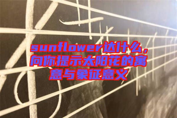 sunflower達什么,向你提示太陽花的寓意與象征意義