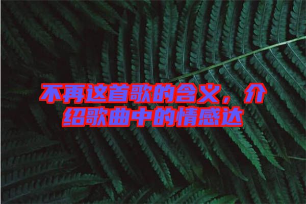 不再這首歌的含義,介紹歌曲中的情感達(dá)
