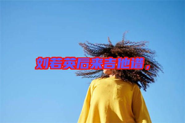 劉若英后來(lái)吉他譜,