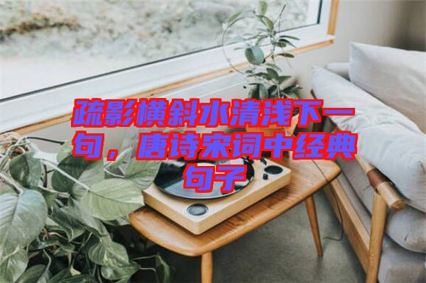 疏影橫斜水清淺下一句，唐詩宋詞中經典句子