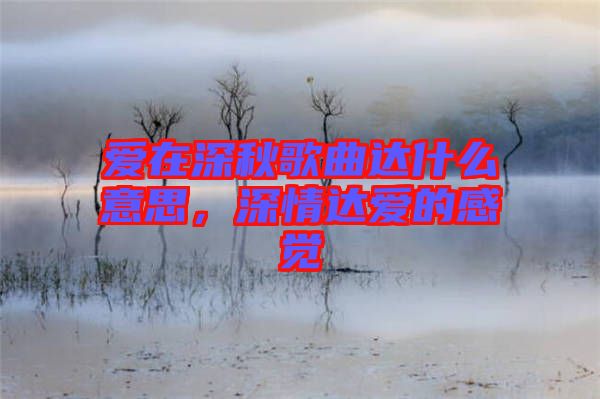 愛在深秋歌曲達(dá)什么意思,深情達(dá)愛的感覺