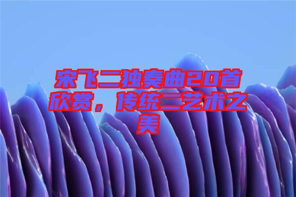 宋飛二獨奏曲20首欣賞,傳統二藝術之美