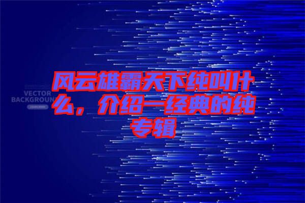 風(fēng)云雄霸天下純叫什么,介紹一經(jīng)典的純專輯