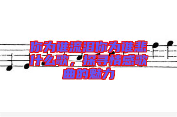你為誰流淚你為誰悲什么歌，探尋情感歌曲的魅力