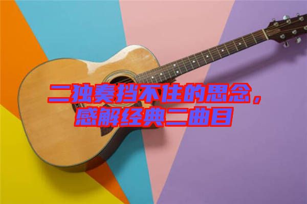 二獨奏擋不住的思念，感解經典二曲目