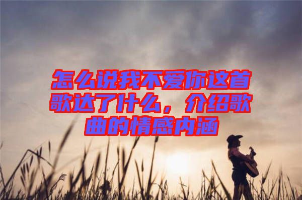 怎么說我不愛你這首歌達了什么,介紹歌曲的情感內涵
