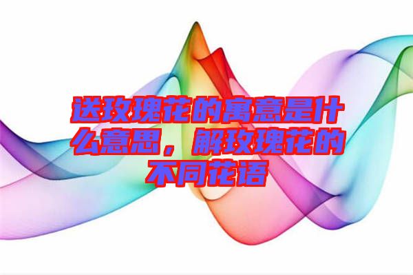 送玫瑰花的寓意是什么意思,解玫瑰花的不同花語