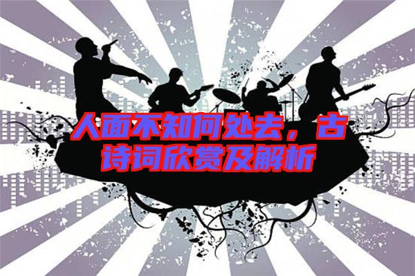 人面不知何處去,古詩詞欣賞及解析