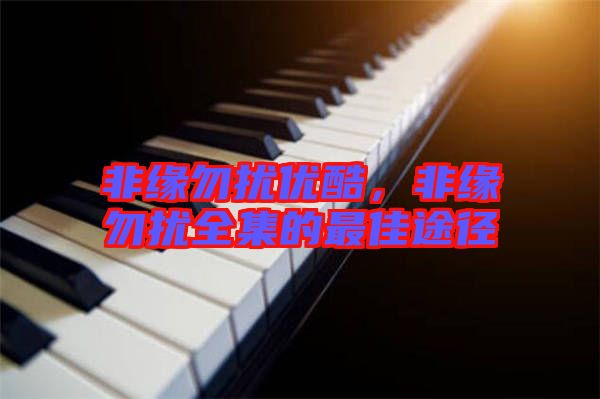 非緣勿擾優酷，非緣勿擾全集的最佳途徑