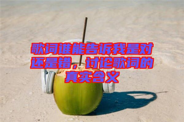 歌詞誰能告訴我是對還是錯，討論歌詞的真實含義