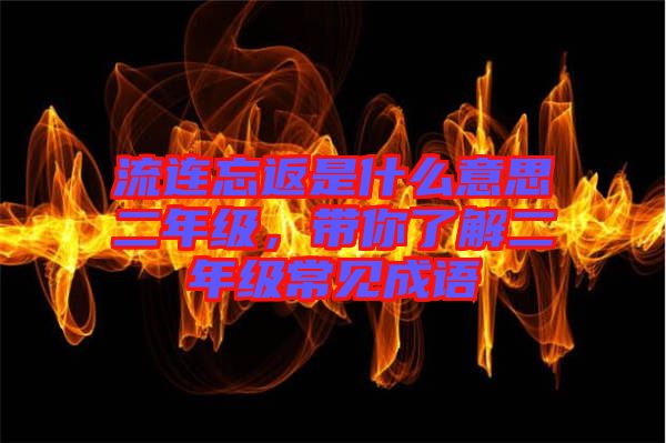 流連忘返是什么意思二年級，帶你了解二年級常見成語