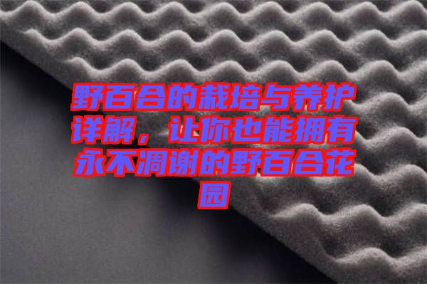 野百合的栽培與養護詳解,讓你也能擁有永不凋謝的野百合花園