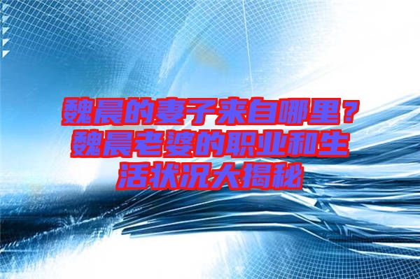 魏晨的妻子來自哪里?魏晨老婆的職業和生活狀況大揭秘