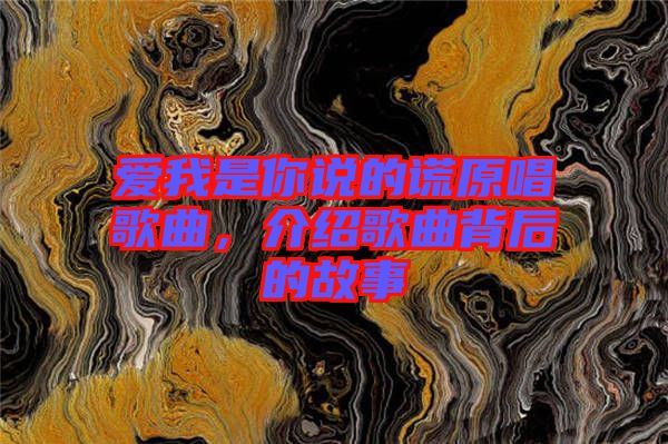 愛我是你說的謊原唱歌曲,介紹歌曲背后的故事