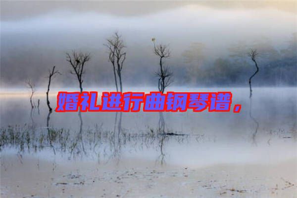 婚禮進(jìn)行曲鋼琴譜,