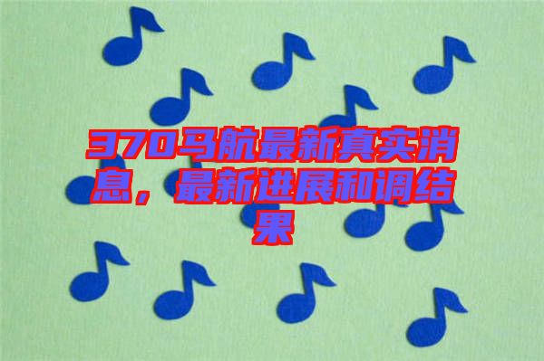 370馬航最新真實消息,最新進展和調結果
