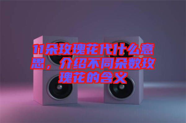 11朵玫瑰花代什么意思,介紹不同朵數(shù)玫瑰花的含義