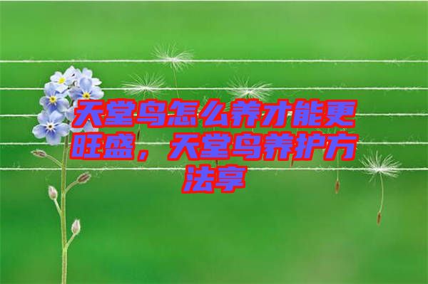 天堂鳥(niǎo)怎么養(yǎng)才能更旺盛,天堂鳥(niǎo)養(yǎng)護(hù)方法享