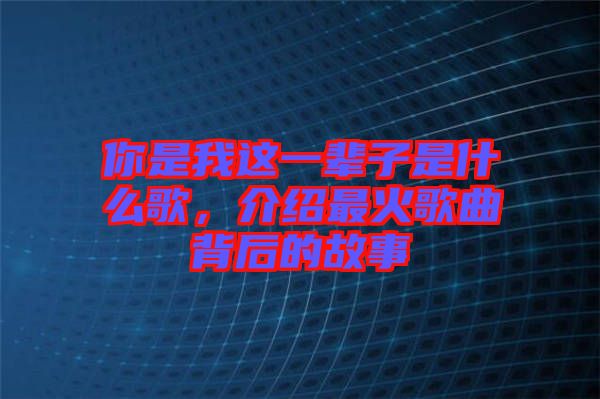 你是我這一輩子是什么歌，介紹最火歌曲背后的故事