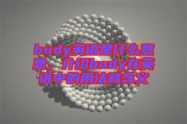 budy英語是什么意思,介紹budy在英語中的用法和含義