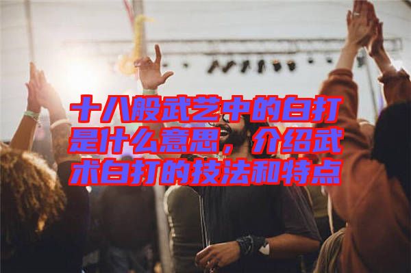 十八般武藝中的白打是什么意思,介紹武術白打的技法和特點