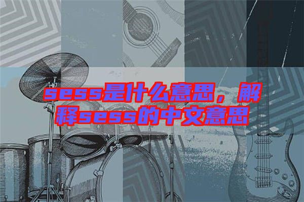 sess是什么意思,解釋sess的中文意思