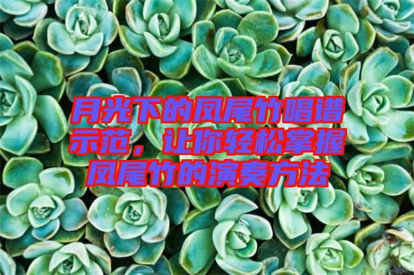 月光下的鳳尾竹唱譜示范,讓你輕松掌握鳳尾竹的演奏方法