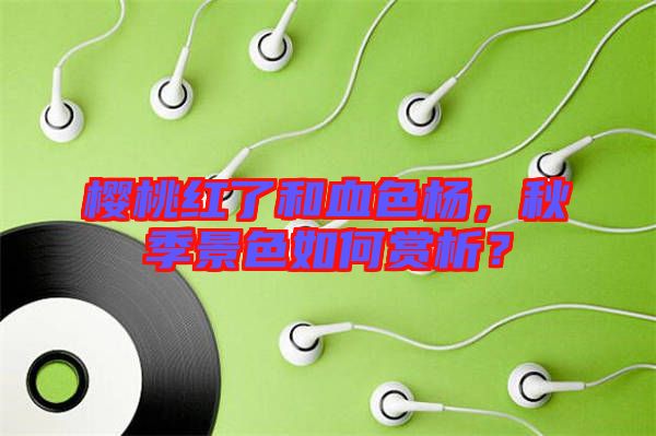 櫻桃紅了和血色楊,秋季景色如何賞析?