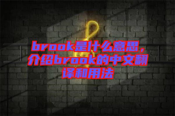 brook是什么意思,介紹brook的中文翻譯和用法