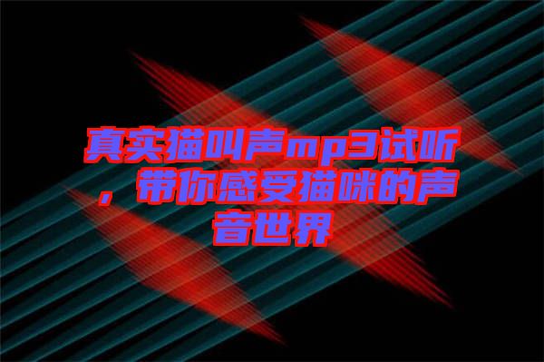 真實貓叫聲mp3試聽,帶你感受貓咪的聲音世界