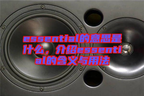 essential的意思是什么，介紹essential的含義與用法