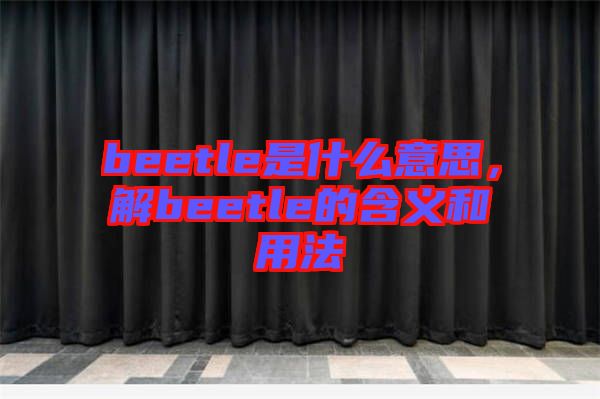 beetle是什么意思,解beetle的含義和用法