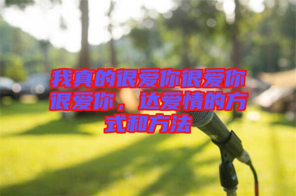 我真的很愛(ài)你很愛(ài)你很愛(ài)你,達(dá)愛(ài)情的方式和方法