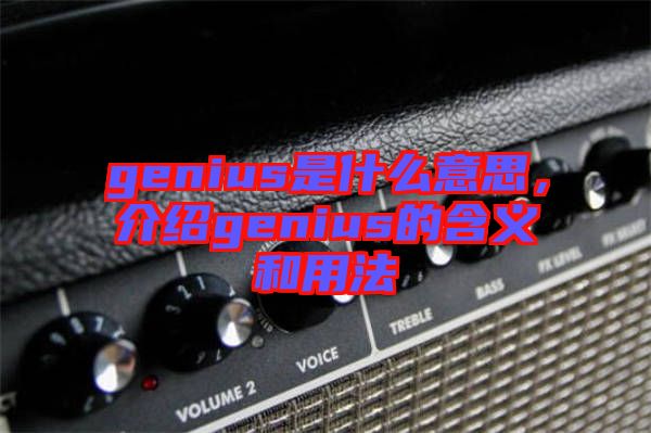 genius是什么意思，介紹genius的含義和用法
