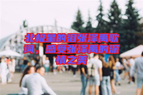 北極星的淚張澤禹歌詞，感受張澤禹的深情之美