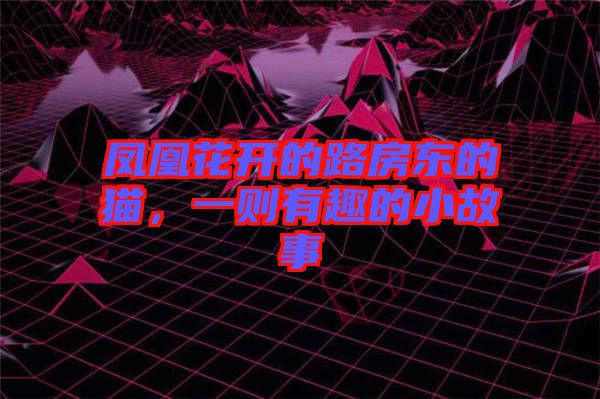 鳳凰花開的路房東的貓,一則有趣的小故事