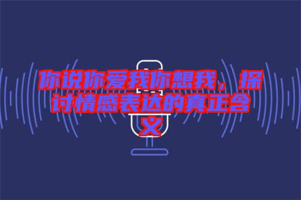 你說你愛我你想我,探討情感表達(dá)的真正含義