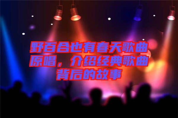 野百合也有春天歌曲原唱,介紹經典歌曲背后的故事