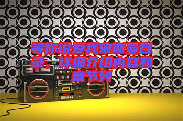 等你說愛我宋斯曼目錄,詳細介紹內容和章節列