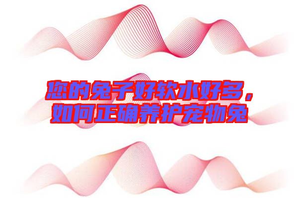 您的兔子好軟水好多,如何正確養(yǎng)護(hù)寵物兔